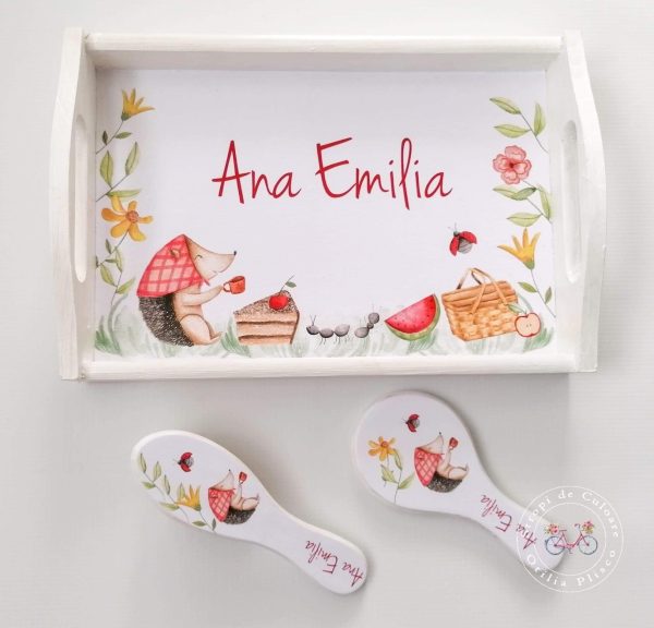 Set moț-Picnic Party